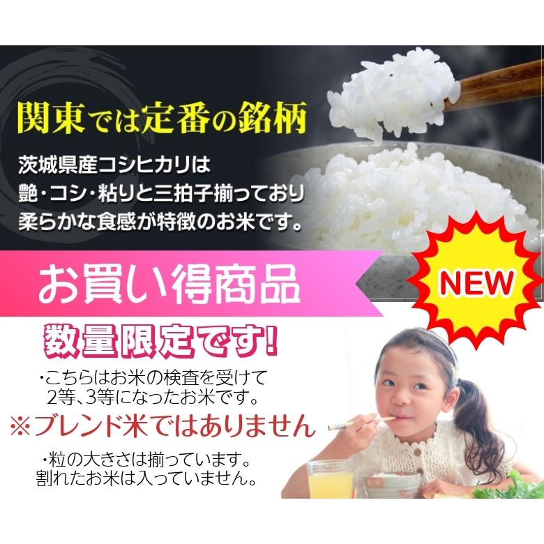 新米 米 10kg お米 コシヒカリ 業務用  茨城県 白米 5年産  送料無料 一部地域除く 梅印