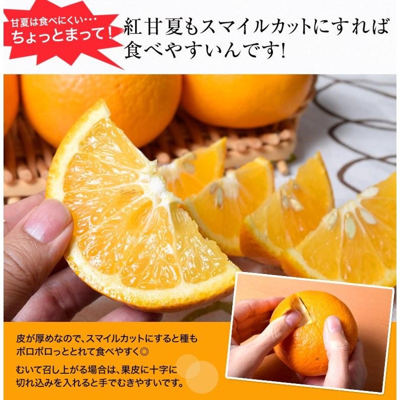 ※常温　○　≪2箱同時購入で1箱オマケ≫　M〜2Lサイズ　約3kg　frt　LINEショッピング　送料無料》鹿児島県産　『紅甘夏(べにあまなつ)』