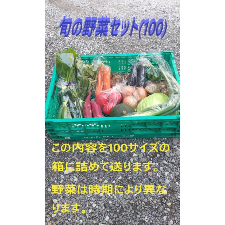 旬の野菜セット100（たっぷり8〜13種）