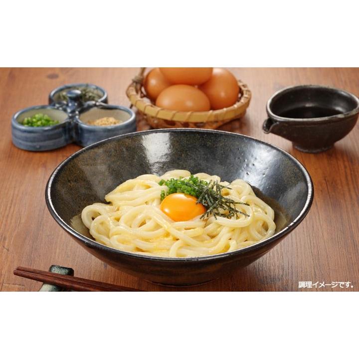 讃岐うどん 食べ比べセット お取り寄せ 岡坂商店 半生＆純生うどん食べ比べセット 約12食（半生うどん＋純生うどん＋めんつゆ）