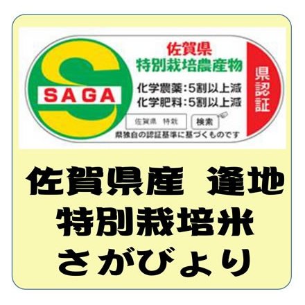 佐賀県産 あうち 特別栽培米 さがびより 令和4年産     白米10kg　送料無料（本州のみ）