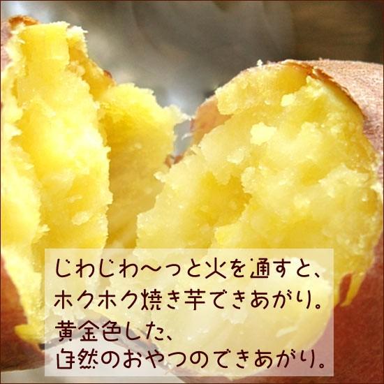 さつまいも なると金時 3kg 秀品 箱入 徳島県産 鳴門金時 国産 野菜 芋 送料無料
