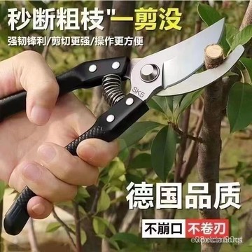 台灣24h🐑SK5鋼樹枝剪刀 粗枝園林剪 修剪果樹 修枝剪 多用途花園剪刀 樹枝 花卉 花剪 園藝剪 花藝剪刀 園藝剪刀