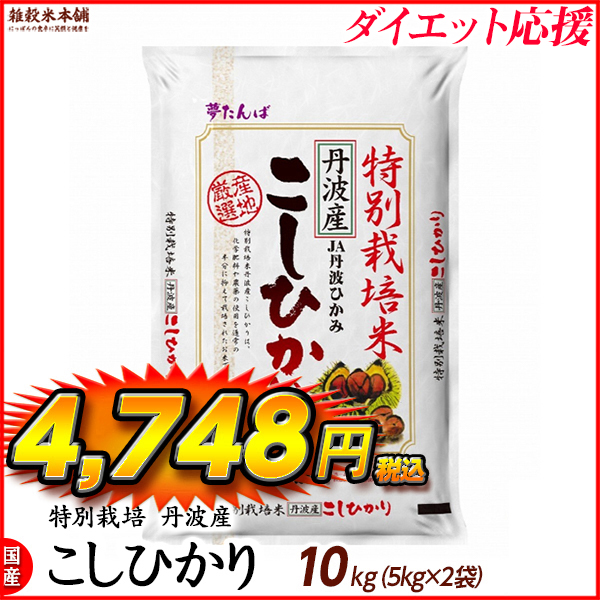 特別栽培米 コシヒカリ 10kg(5kg×2袋) 丹波産 令和5年産 単一原料米