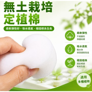 台灣出貨👑定植棉 育苗棉 定植海綿 水耕海綿 海棉 水耕籃海綿 無土栽培 園藝 基質棉 蔬菜籃棉 育苗棉 海綿
