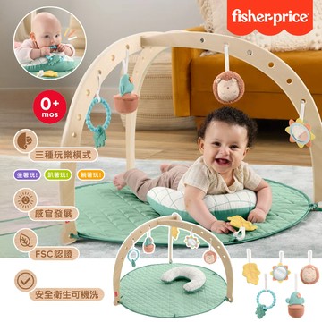 美國 Fisher-Price 費雪 木製叢林寶寶健身器 3種玩法 寶寶出生就能玩 繽紛顏色助於視覺發育