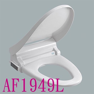 【HCG 和成】免治沖洗馬桶座AF1949L,不含安裝