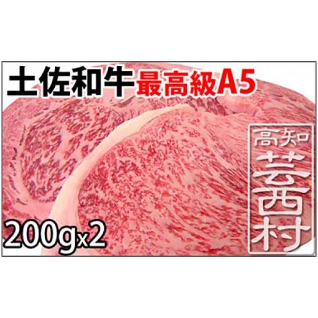 ふるさと納税 高知県 芸西村 土佐和牛A5特選サーロイン＆リブロースステーキ200g×2枚セット　牛肉＜高知市共通返礼品＞