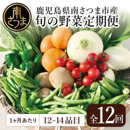 旬鮮野菜と果物のセット（12～14品目）