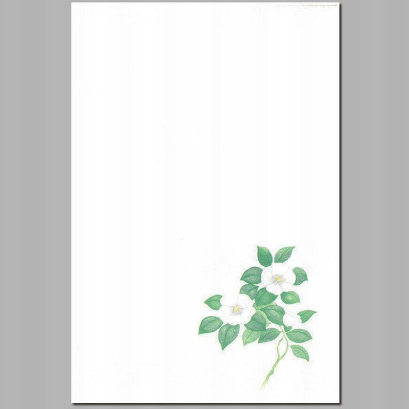 喪中 はがき 寒中見舞い 葉書 年末 年始 ハガキ 和紙 和風 冬 イラスト無料 戒名 年賀状 御礼 挨拶状 Fps 601 白椿 しろつばき 福井朝日堂 通販 Lineポイント最大0 5 Get Lineショッピング