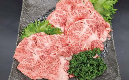  熊本県産 A5等級 黒毛和牛 和王 食べ比べ 牛肉 和牛 国産