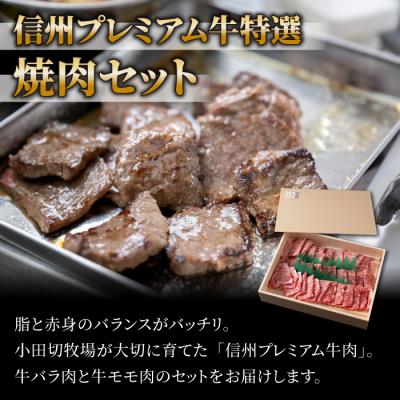 ふるさと納税 東御市 小田切牧場信州プレミアム牛特選　焼肉セット500g