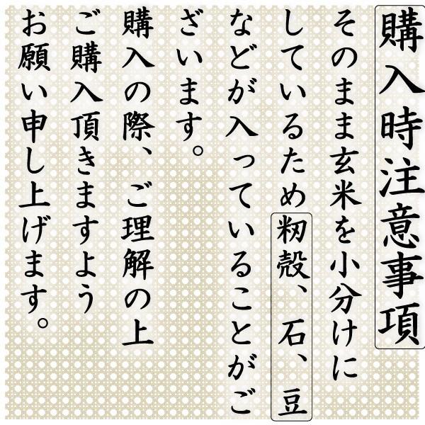 お米 米 30kg 玄米 熊本県産 ひのひかり 新米 令和5年産 ヒノヒカリ 5kg6個 あすつく くまもとのお米 富田商店 とみた商店