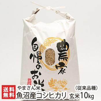 無農薬・無化学肥料 魚沼産コシヒカリ 玄米10kg やまさん米 送料無料