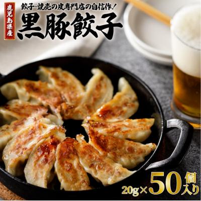 ふるさと納税 鹿児島市 餃子・焼売の皮専門店の自信作!鹿児島県産黒豚餃子