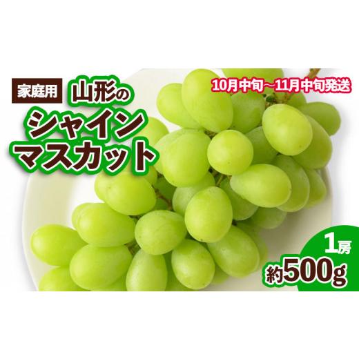 ふるさと納税 山形県 山形市 山形のシャインマスカット 優品 1房 約500g[10月中旬〜11月中旬お届け] FS23-649