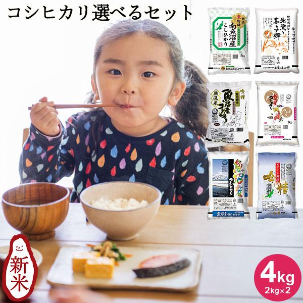 お米 4kg 送料無料 食べ比べ お試し いなほんぽのコシヒカリ選べるセット 4kg(2kg×2) プレゼント付 無洗米 精白米 新潟産 魚沼産 令和5年産 新米