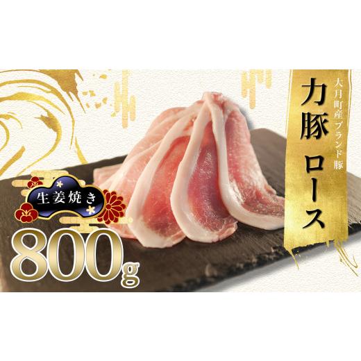 ふるさと納税 高知県 大月町 力豚ロース　生姜焼き用800g