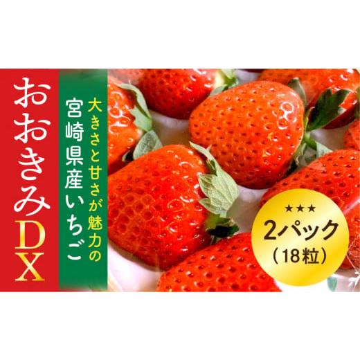 ふるさと納税 宮崎県 宮崎市 期間・数量限定 宮崎県産 イチゴ「おおきみDX」2パック(18粒)_M260-005