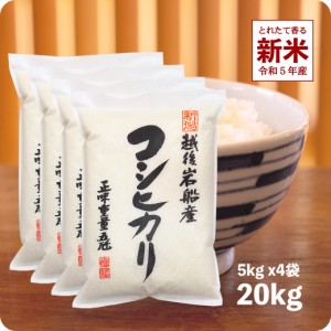 新米 20kg 岩船産コシヒカリ 令和5年産 お米 送料無料 こしひかり 新潟県産 産直 精米 白米 5kgx4袋 ※沖縄へは別途送料