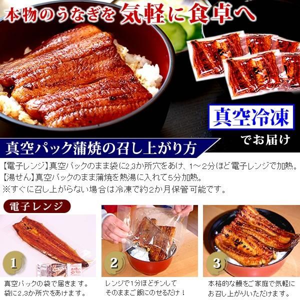 お歳暮 ギフト 2023 うなぎ 国産 プレゼント 土用の丑の日 蒲焼き 食べ物 送料無料 誕生日 ウナギ 鰻 2本 お年賀 御歳暮 御年賀 簡易箱 Gset03 1〜2人用 AA