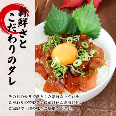 ふるさと納税 田野町 これが魚屋の漬け丼だ!〜マグロ〜 《訳あり》 80g×10P