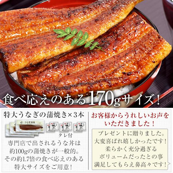 お歳暮 御歳暮 ギフト うなぎ 蒲焼き 国産 特大うなぎ3尾 ウナギ 鰻 蒲焼 送料無料