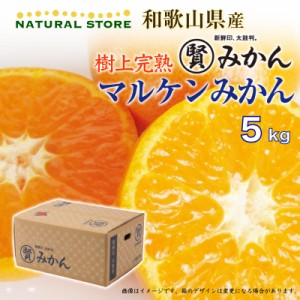 [予約 2023年 11月25日-12月25日の納品] マル賢みかん 約 5kg SML 樹上完熟 マルケン 和歌山県産 けんぽう　 冬ギフト お歳暮 御歳暮