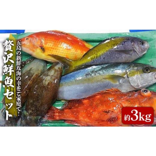 ふるさと納税 長崎県 五島市 贅沢鮮魚 約3kg セット 刺身 鮮魚 海の幸 五島市 ／ 五島FF [PBJ006]