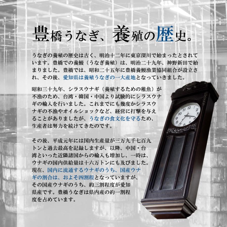 うなぎ 鰻 国産 プレゼント ギフト 白焼き 155-167g×3尾 大盛3人前 化粧箱 送料無料 お歳暮 贈り物 誕生日 内祝い