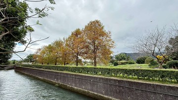 近秧悅酒店休閒度假首選超美農地UF023F｜花蓮縣吉安鄉初音段