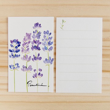 小卡系列 含羞草 10 入組