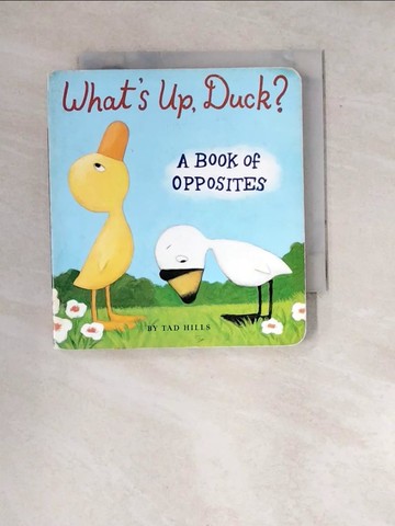 【書寶二手書T9／少年童書_WW2】What’s Up, Duck?: A Book of Opposites_Hills, Tad