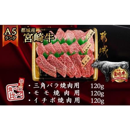 ふるさと納税 宮崎牛焼肉3種食べ比べセット_AC-0110_(都城市) 都城産宮崎牛 A5 三角バラ焼肉用 モモ焼肉用 イ.. 宮崎県都城市