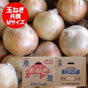 玉ねぎ 20kg 送料無料 北海道産 たまねぎ 20kg Mサイズ 共選 北海道 富良野産 もしくは 北見F1 野菜 たまねぎ