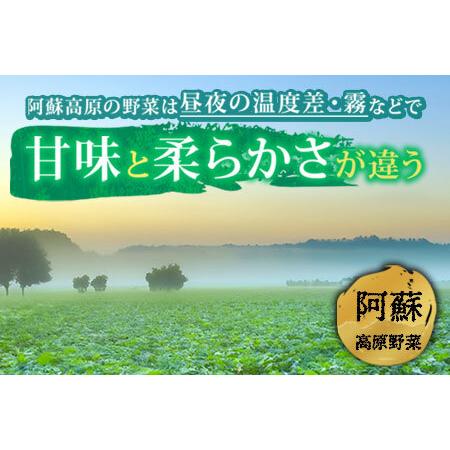 ふるさと納税 季節のお野菜セットとお米のセット 熊本県阿蘇市