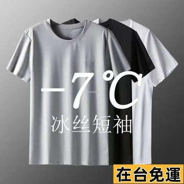 🔥台灣發出🔥 M-8XL 冰絲網眼短袖T恤 夏季薄款韓系 美式寬松速幹 網眼運動圓領短袖 透氣大碼半袖t恤男 內衣男