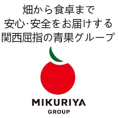 中身を選べる野菜詰め合わせ 10品目入 中身のおまかせも可能