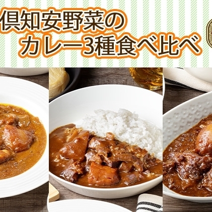 先行受付熨斗対応 北海道 倶知安 カレー 3種 食べ比べ セット 計9個 中辛 スープカレー ビーフ ポーク 牛すじ カレー 詰め合わせ じゃがいも 牛 牛肉 豚肉 肉