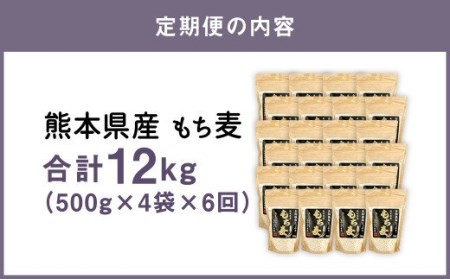  熊本県産 もち麦 合計12kg