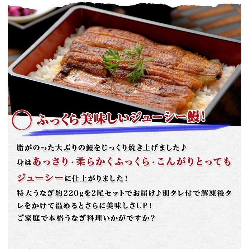 うなぎ 鰻 タレ付き 焼きウナギ 約440g (220g×2尾) 2本 特大 かば焼き 蒲焼き 中国産 冷凍便 ギフト お取り寄せ