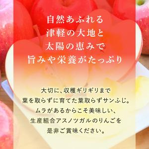 ふるさと納税 （13度糖度保証）訳あり家庭用葉とらずサンふじ約10kg 青森県弘前市