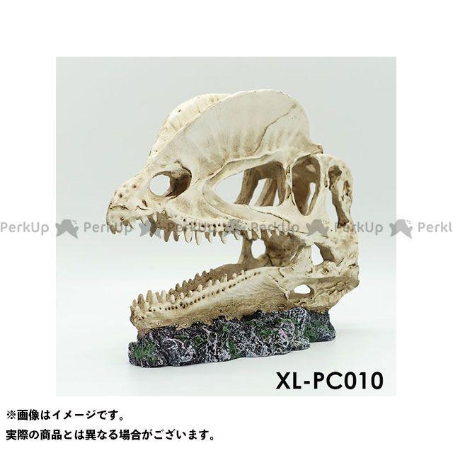 アルファテック XL-PC010 骨格/化石(小)恐竜 水槽 ケージ 飼育ケース インテリア オーナメント アクセサリー オブジェ オーナメント ジ… 通販 LINEポイント最大0.5%GET LINEショッピング アクアリウム オブジェ 水槽 オーナメント new 置物 リアル 爬虫類 熱帯魚 観賞魚 飼育 インテリア 恐竜