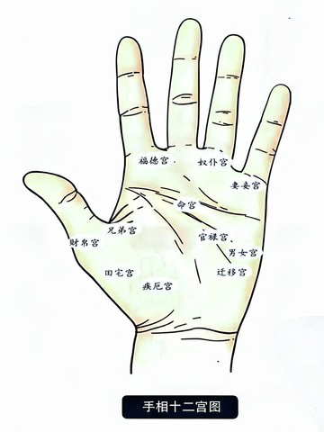 {可打統編 保固一年}手相過三關看面相手相分析書籍面相圖面相分析手相相書男女手相面相面相命理書籍