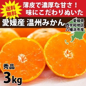 みかん 愛媛 秀品 3kg 箱買い 八幡浜市 ブランド 産地直送 厳選 人気の品種 旬 甘い 濃厚 S～Lサイズ 20～30玉前後入り 010137000306