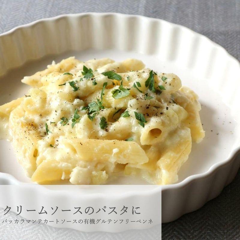 アルチェネロ 有機 グルテンフリー ペンネ 250g ×2袋 オーガニック イタリア産 小麦不使用 ゆで時間10~12分 ALCE NERO