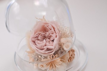 把最好的都給你 永生花系列作品 WARMTH