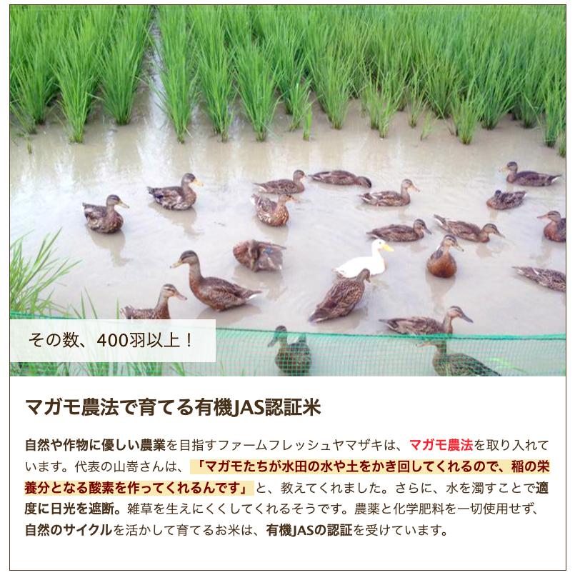 有機JAS認証米（無農薬・無化学肥料）新潟県産こしいぶき 玄米5kg ファームフレッシュヤマザキ 送料無料