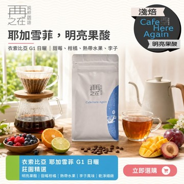 再再之在｜衣索比亞 耶加雪菲 G1 日曬 咖啡豆 精品咖啡豆