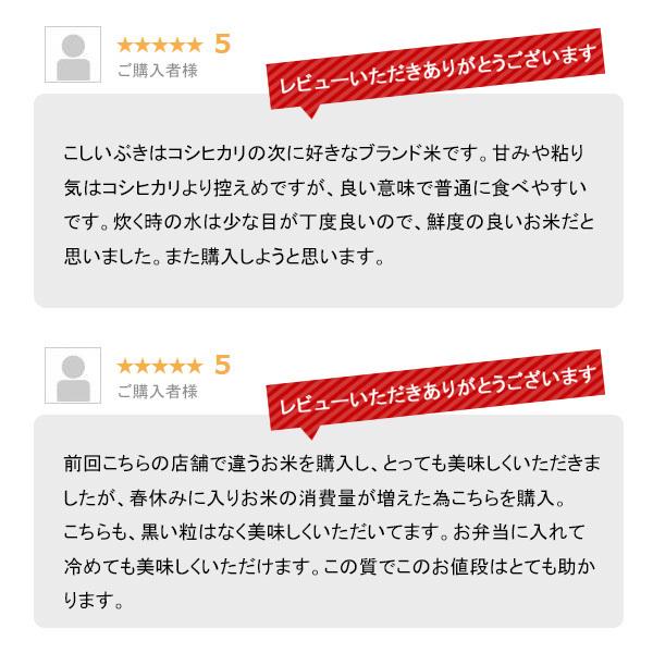 新米 20kg 新潟産こしいぶき お米 20キロ 送料無料 令和5年産 白米 精米 5kg x4袋